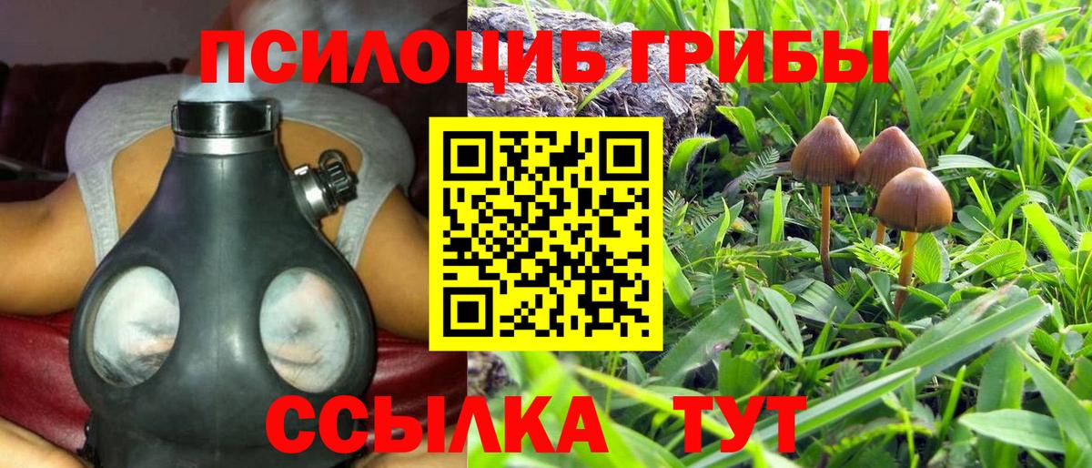 Псилоцибиновые грибы Magic Shrooms  Псилоцибиновые грибы Magic Shrooms  Вход с VPN  Каменск-Уральский 