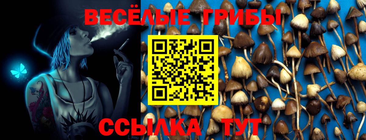 Галлюциногенные грибы Magic Shrooms Каменск-Уральский